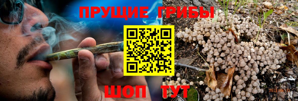 Среднеуральск  Галлюциногенные грибы ЛСД  Вход с VPN 